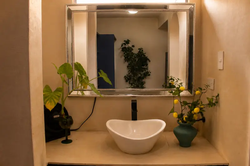 Tocador con espejo y plantas
